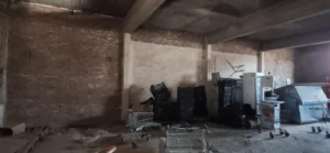 pig0008 005