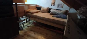 pig0028 006