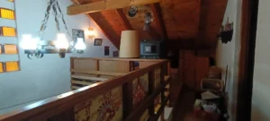 pig0028 008