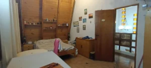 pig0028 009